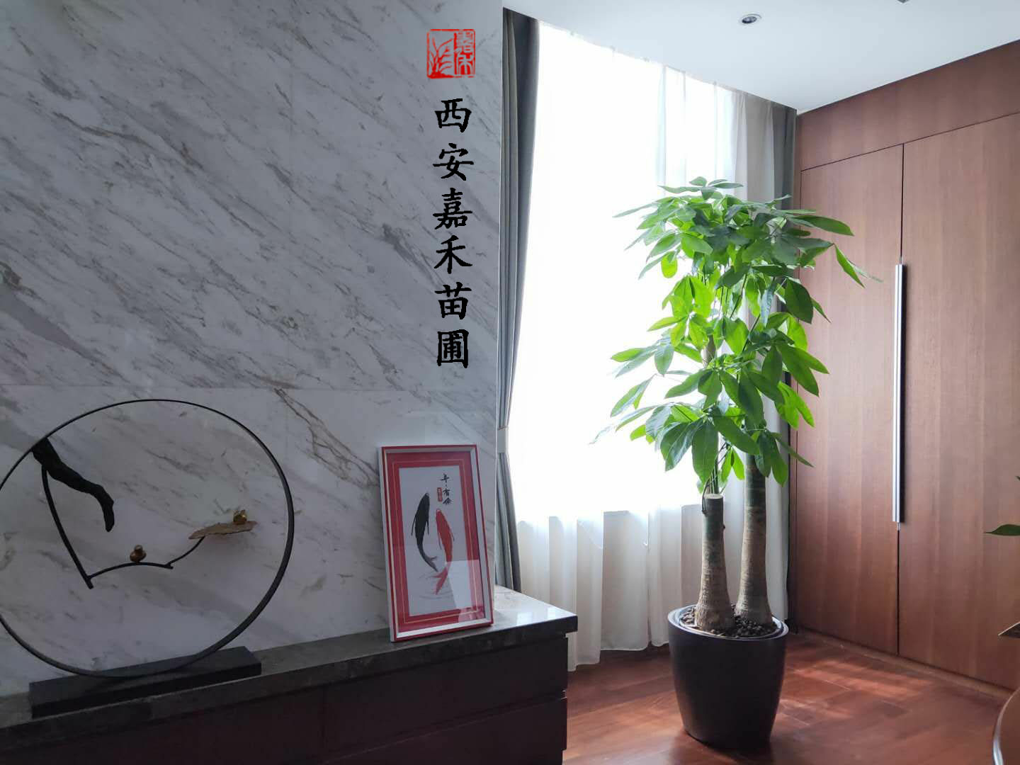 大方集团办公大楼绿植租赁现场