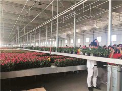 提升温室自动化需求为先