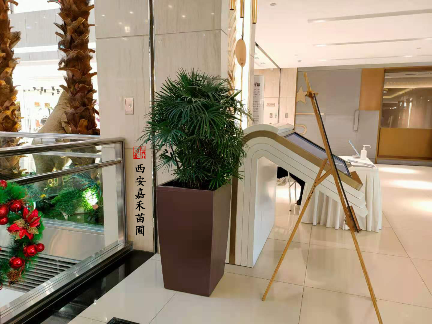 商场花卉绿植租赁