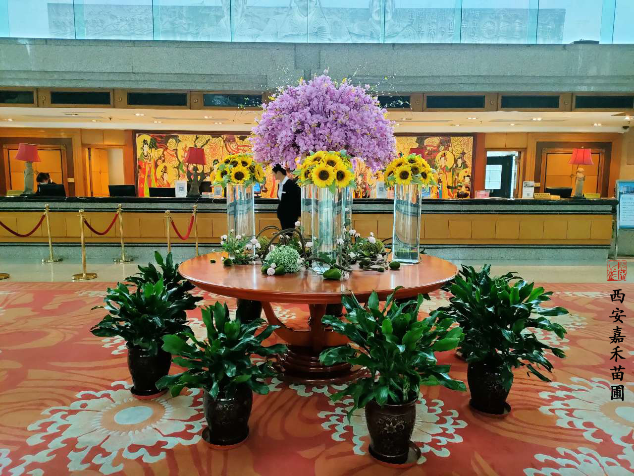 酒店花卉绿植租赁