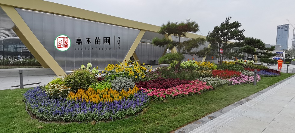 西安花境景观布置|嘉禾苗圃