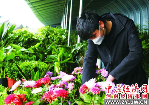 汤阴县城关镇五里村花卉市场的育苗棚里 鲜花绿植开正盛