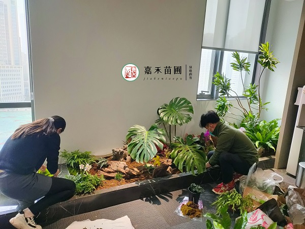 西安绿植租摆如花在野工程设计