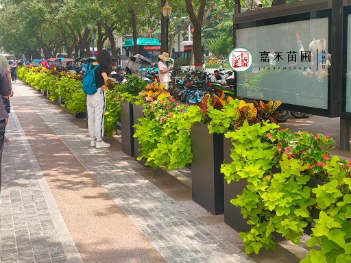 室外景观花境植物的选择