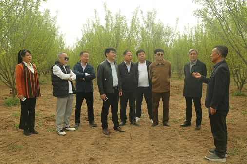 杨喜康介绍苗圃种植和经营情况