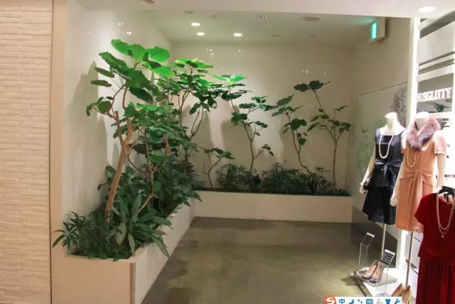 【国外案例】看一眼就会让你喜欢的商业绿植租赁装饰设计！